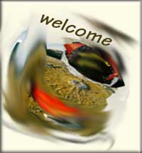Welcome Quotations